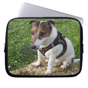 Capo von Oppenheim Jack Russell Terrier, Dog Laptop Sleeve