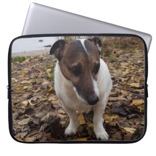 Capo von Oppenheim Jack Russell Terrier, Dog Laptop Sleeve