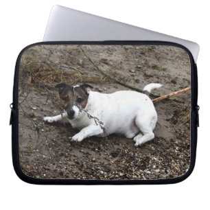 Capo von Oppenheim Jack Russell Terrier, Dog Laptop Sleeve