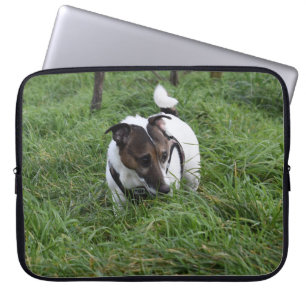 Capo von Oppenheim Jack Russell Terrier, Dog Laptop Sleeve