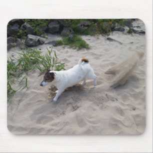 Capo von Oppenheim Jack Russell Terrier, Dog Mouse Pad
