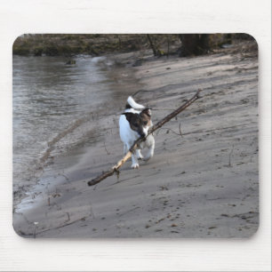 Capo von Oppenheim Jack Russell Terrier, Dog Mouse Pad