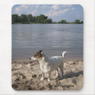 Capo von Oppenheim Jack Russell Terrier, Dog Mouse Pad