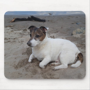 Capo von Oppenheim Jack Russell Terrier, Dog Mouse Pad