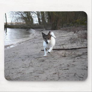 Capo von Oppenheim Jack Russell Terrier, Dog Mouse Pad