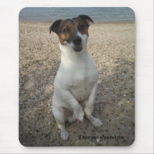Capo von Oppenheim Jack Russell Terrier, Dog Mouse Pad