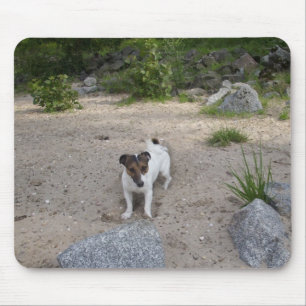 Capo von Oppenheim Jack Russell Terrier, Dog Mouse Pad