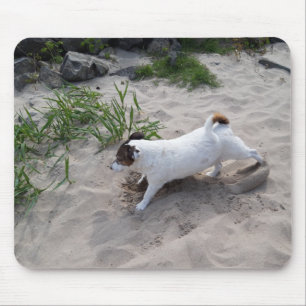 Capo von Oppenheim Jack Russell Terrier, Dog Mouse Pad