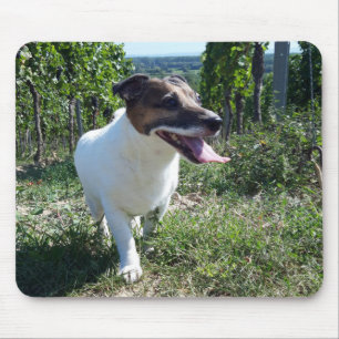 Capo von Oppenheim Jack Russell Terrier, Dog Mouse Pad