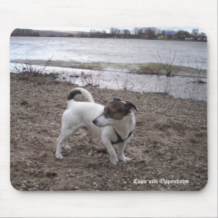 Capo von Oppenheim Jack Russell Terrier, Dog Mouse Pad