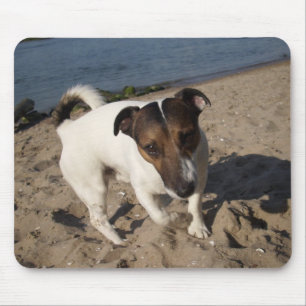 Capo von Oppenheim Jack Russell Terrier, Dog Mouse Pad