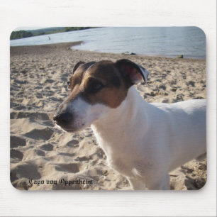 Capo von Oppenheim Jack Russell Terrier, Dog Mouse Pad