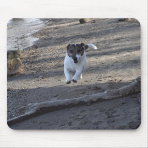 Capo von Oppenheim Jack Russell Terrier, Dog Mouse Pad