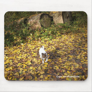 Capo von Oppenheim Jack Russell Terrier, Dog Mouse Pad