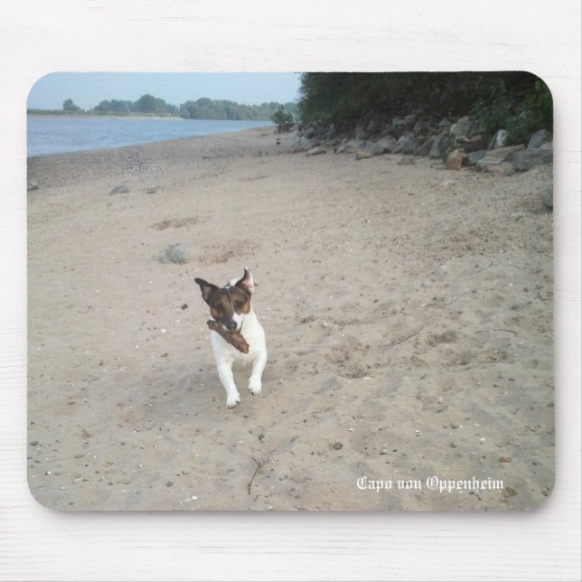 Capo von Oppenheim Jack Russell Terrier, Dog Mouse Pad (Front)