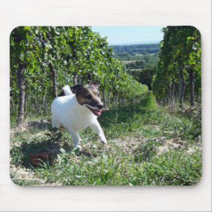 Capo von Oppenheim Jack Russell Terrier, Dog Mouse Pad