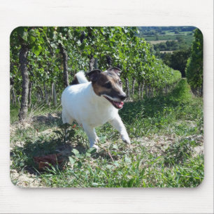 Capo von Oppenheim Jack Russell Terrier, Dog Mouse Pad