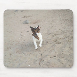 Capo von Oppenheim Jack Russell Terrier, Dog Mouse Pad