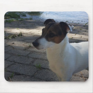 Capo von Oppenheim Jack Russell Terrier, Dog Mouse Pad