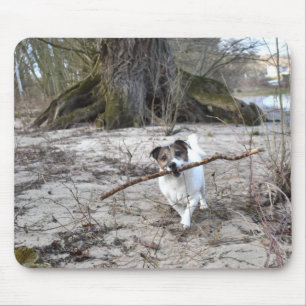 Capo von Oppenheim Jack Russell Terrier, Dog Mouse Pad