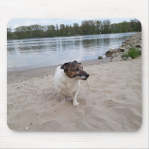 Capo von Oppenheim Jack Russell Terrier, Dog Mouse Pad