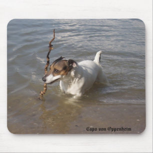 Capo von Oppenheim Jack Russell Terrier, Dog Mouse Pad