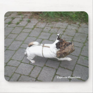 Capo von Oppenheim Jack Russell Terrier, Dog Mouse Pad