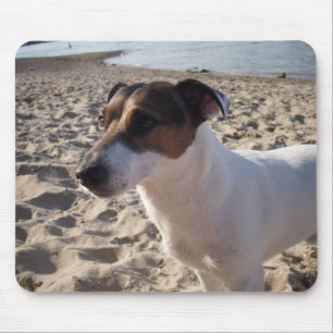 Capo von Oppenheim Jack Russell Terrier, Dog Mouse Pad