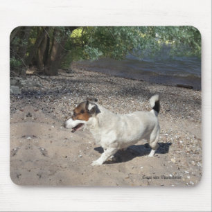 Capo von Oppenheim Jack Russell Terrier, Dog Mouse Pad