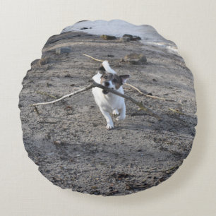 Capo von Oppenheim Jack Russell Terrier, Dog Round Cushion
