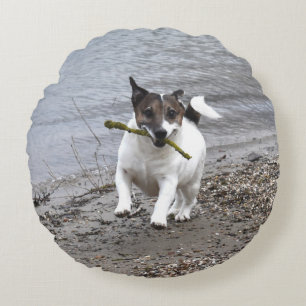 Capo von Oppenheim Jack Russell Terrier, Dog Round Cushion
