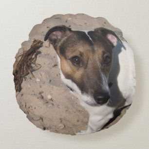 Capo von Oppenheim Jack Russell Terrier, Dog Round Cushion