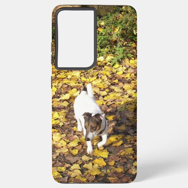 Capo von Oppenheim, Jack Russell Terrier Dog Samsung Galaxy S21+ Case (Back)