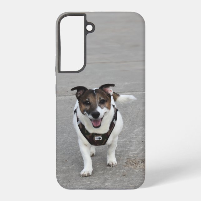 Capo von Oppenheim, Jack Russell Terrier Dog Samsung Galaxy S22+ Case (Back)