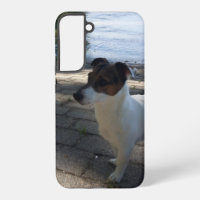 Capo von Oppenheim, Jack Russell Terrier Dog