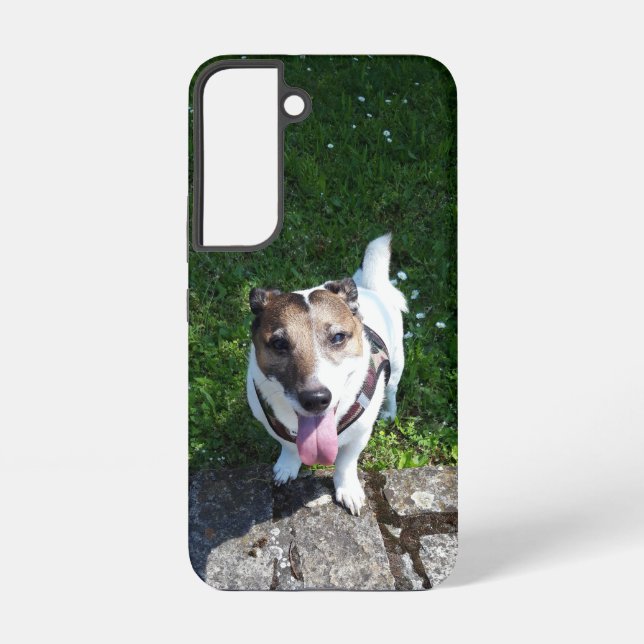 Capo von Oppenheim, Jack Russell Terrier Dog Samsung Galaxy S22 Case (Back)