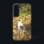 Capo von Oppenheim, Jack Russell Terrier Dog Samsung Galaxy Case<br><div class="desc">Photo little Dog,  My Dog Capo,  Capo von Oppenheim,  Jack Russell Terrier</div>