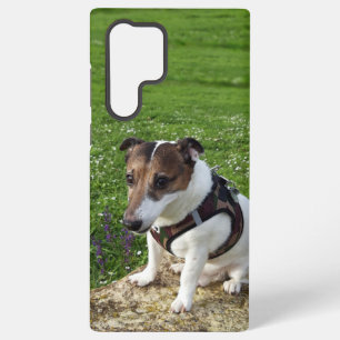 Capo von Oppenheim Jack Russell Terrier, Dog Samsung Galaxy Case