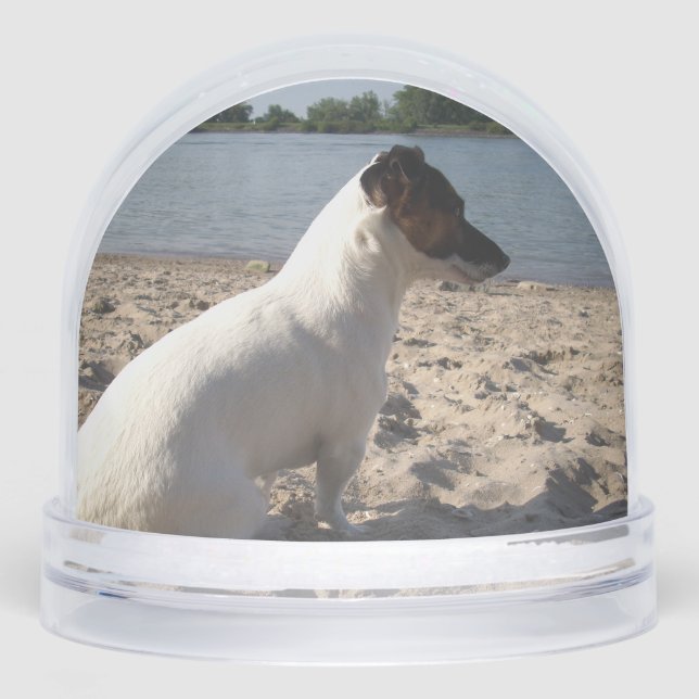 Capo von Oppenheim, Jack Russell Terrier Dog Snowglobe (Front)