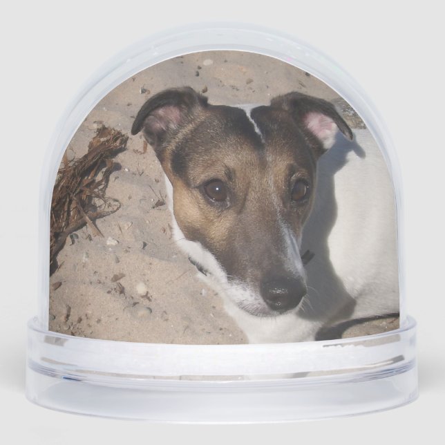 Capo von Oppenheim, Jack Russell Terrier Dog Snowglobe (Front)