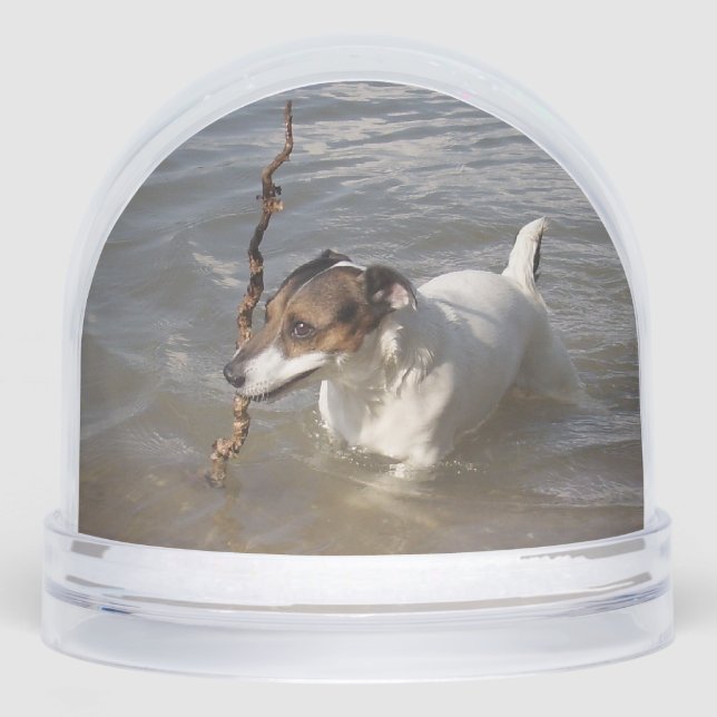 Capo von Oppenheim, Jack Russell Terrier Dog Snowglobe (Front)