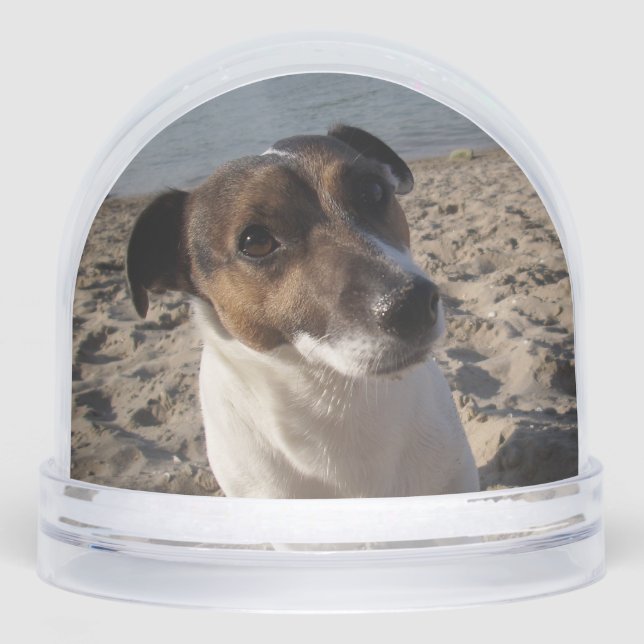 Capo von Oppenheim, Jack Russell Terrier Dog Snowglobe (Front)