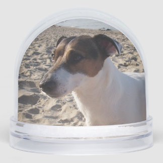 Capo von Oppenheim, Jack Russell Terrier Dog Snowglobe