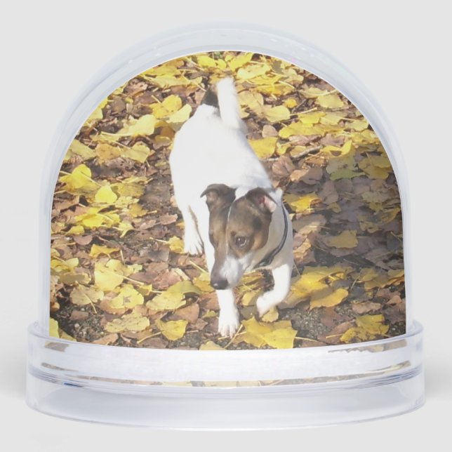 Capo von Oppenheim, Jack Russell Terrier Dog Snowglobe (Front)