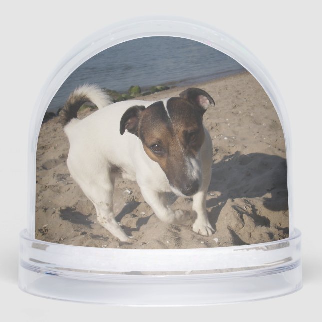 Capo von Oppenheim, Jack Russell Terrier Dog Snowglobe (Front)