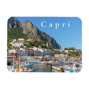 Capri. #2   magnet