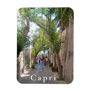 Capri. #5   magnet