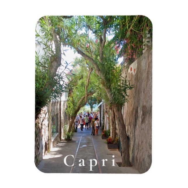 Capri. #5   magnet (Vertical)