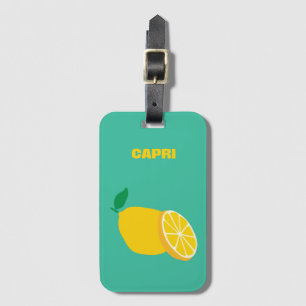 Capri Acrylic Luggage Tag