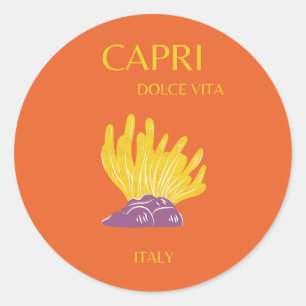 Capri, Italy, Travel, Preppy, Orange Classic Round Sticker